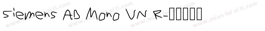 Siemens AD Mono VN R字体转换